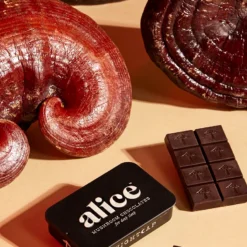 Alice Mushroom Milk Chocolate Bunnies (2500mg Golden Teacher)