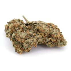 RED CONGOLESE Organic Cold Cured | By Buddha Boys ®