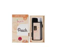 BURN Disposable Vapes
