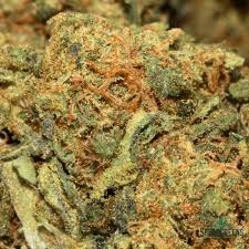 Purple Punch (Popcorn Nugs) | $99/Oz | SPEED SPECIAL